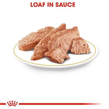 Royal Canin Chihuahua Loaf 12x85g