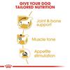 Royal Canin Dachshund Loaf 12x85g