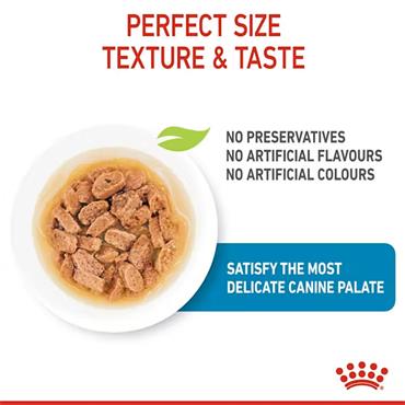 Royal Canin Mini Puppy Chunks In Gravy Dog Food 12x85g