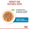 Royal Canin Mini Puppy Chunks In Gravy Dog Food 12x85g