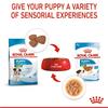 Royal Canin Mini Puppy Chunks In Gravy Dog Food 12x85g