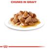 Royal Canin Mini Adult Chunks In Gravy 12x85g