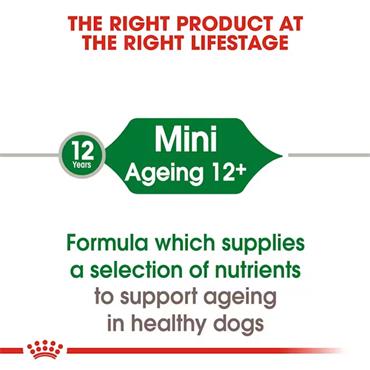 Royal Canin Mini Ageing 12+ Chunks In Gravy Dog Food 12x85g