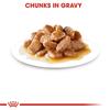 Royal Canin Mini Ageing 12+ Chunks In Gravy Dog Food 12x85g