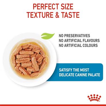 Royal Canin Medium Puppy Chunks In Gravy 10x140g
