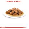 Royal Canin Medium Ageing 10+ Chunks In Gravy 10x140g