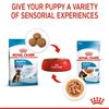 Royal Canin Maxi Puppy Chunks In Gravy 10x140g