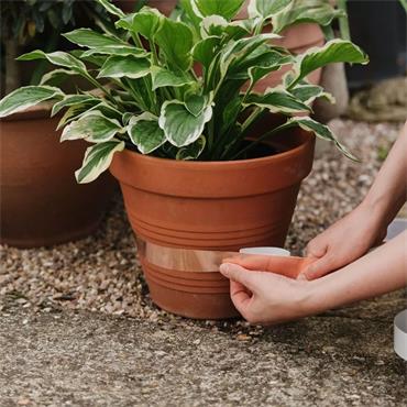 Growing Success Slug Barrier Copper Tape