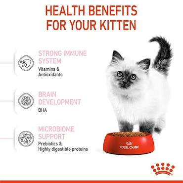 Royal Canin Kitten Cat Food 2kg