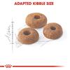 Royal Canin Fit 32 Cat Food 400g