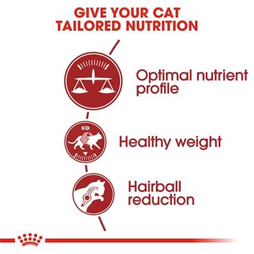 Royal Canin Fit 32 Cat Food 2kg