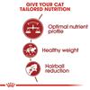 Royal Canin Fit 32 Cat Food 2kg