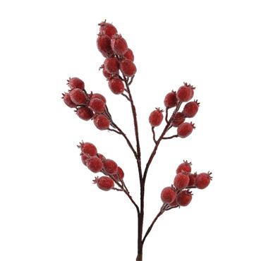 Spray Berries Red