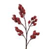 Spray Berries Red