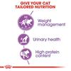 Royal Canin Sterilised 37 Adult Cat Food 2kg