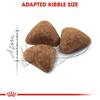 Royal Canin Indoor 27 Adult Cat Food 400g
