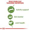 Royal Canin Outdoor Adult Cat Food 400g
