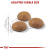 Royal Canin Outdoor Adult Cat Food 400g