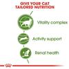 Royal Canin Outdoor 7+ Cat Food 2kg