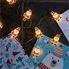 Smart Garden 10 Clipcard Santa String Lights