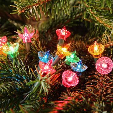 40 Multi Colour Pickwick String Light