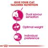 Royal Canin Savour Exigent Cat Food 2kg