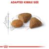 Royal Canin Savour Exigent Cat Food 2kg