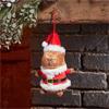 Smart Garden Santa Capybara Pendant
