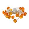 Smart Garden Pumpkin String Lights