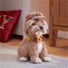 Smart Garden Puppy-in-plaid