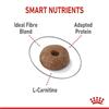 Royal Canin Light Weight Care Cat Food 400g