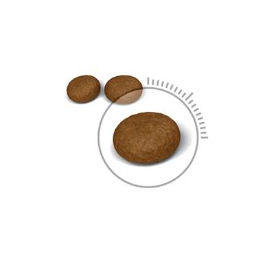Royal Canin Hair & Skin Care Cat Food 2kg