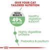 Royal Canin Digestive Care Cat Food 400g