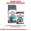 Royal Canin Urinary Care Cat Food 2kg