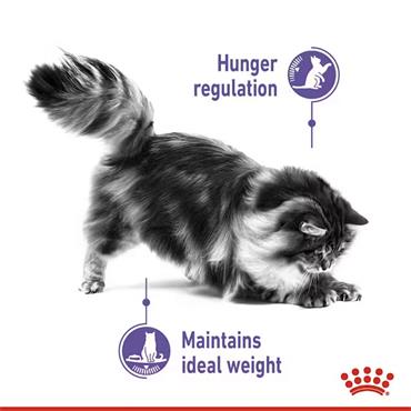 Royal Canin Appetite Control Care Cat Food 2kg