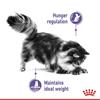 Royal Canin Appetite Control Care Cat Food 2kg