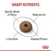 Royal Canin Appetite Control Care Cat Food 2kg