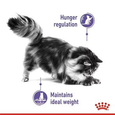 Royal Canin Appetite Control Thin Slices In Gravy 12x85g