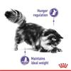 Royal Canin Appetite Control Thin Slices In Gravy 12x85g