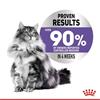 Royal Canin Appetite Control Thin Slices In Gravy 12x85g