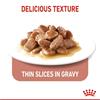 Royal Canin Appetite Control Thin Slices In Gravy 12x85g