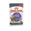 Royal Canin Appetite Control Thin Slices In Gravy 12x85g