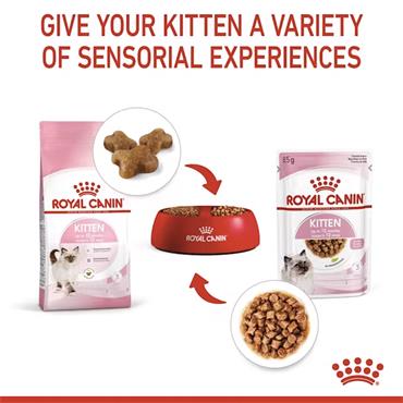 Royal Canin Kitten Chunks In Gravy 12x85g