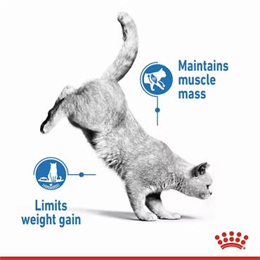Royal Canin Light Weight Care Thin Slices In Gravy 12x85g