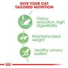 Royal Canin Digest Sensitive Chunks In Gravy 12x85g