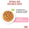 Royal Canin Kitten Chunks In Jelly 12x85g