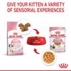 Royal Canin Kitten Chunks In Jelly 12x85g