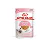 Royal Canin Kitten Chunks In Jelly 12x85g