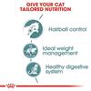 Royal Canin Hairball Care Thin Slices In Gravy 12x85g