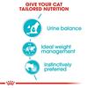 Royal Canin Urinary Care Chunks In Gravy Cat Food 12x85g